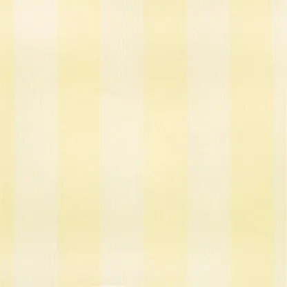 Designers Guild - Montreux - Champagne (dg 300) | Susty
