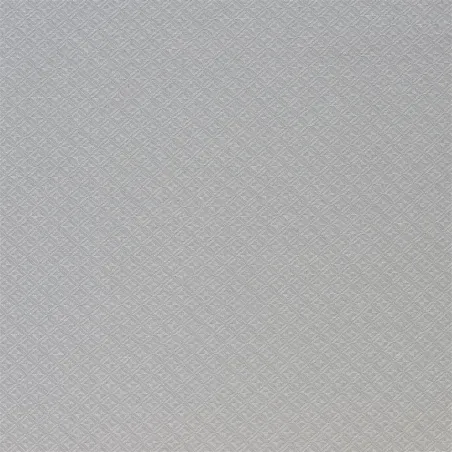 Tissus au mètre - Designers Guild Poiziere - Zinc | Susty
