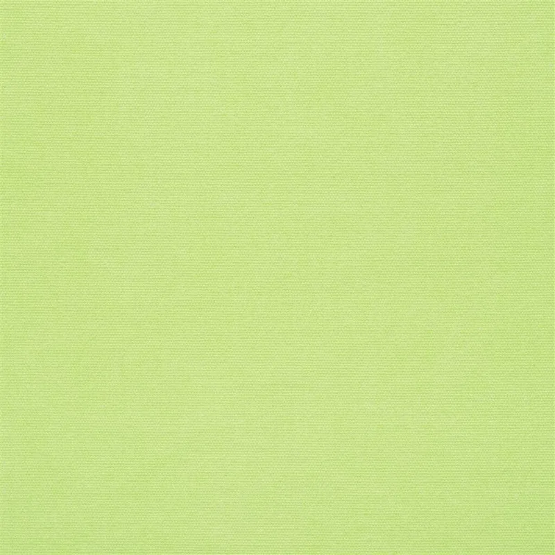 Designers Guild - Canvas - Lime | Susty