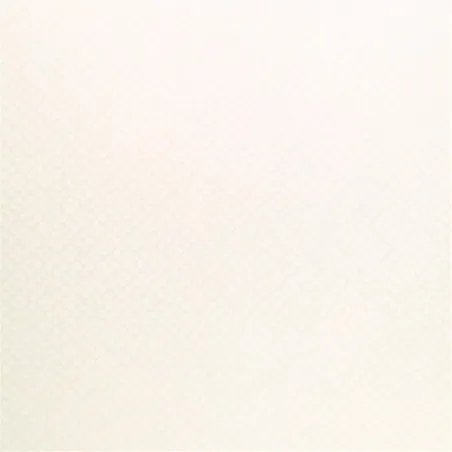 Designers Guild - Block Flower - Chalk | Susty