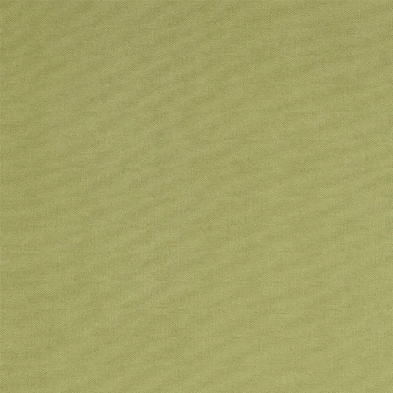 Designers Guild - Madrid - Olive | Susty