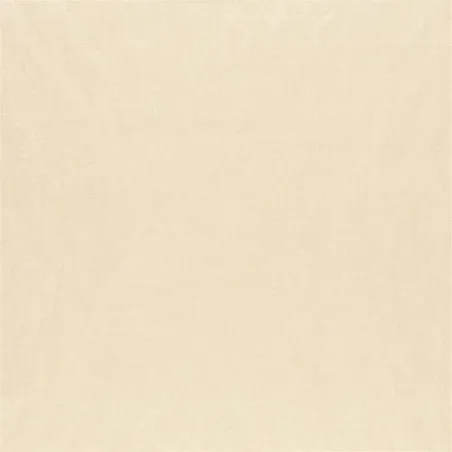 Designers Guild - Arietta - Pearl | Susty