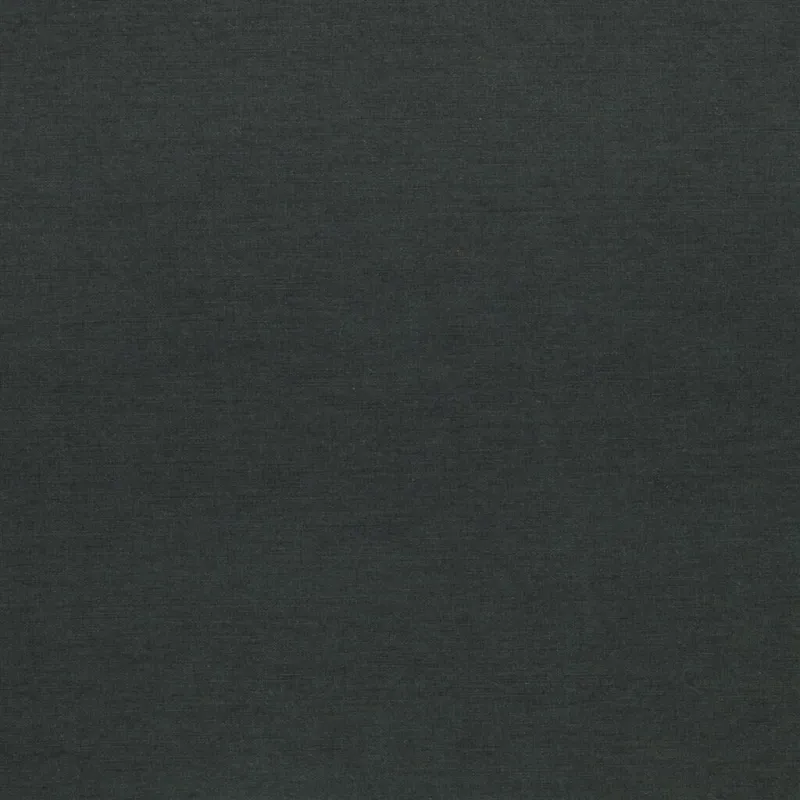 Designers Guild - Piet - Charcoal | Susty