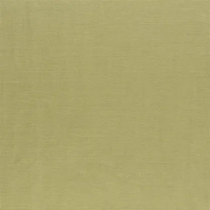 Designers Guild - Arietta - Pistachio | Susty