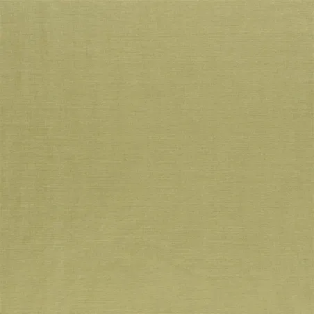 Designers Guild - Arietta - Pistachio | Susty