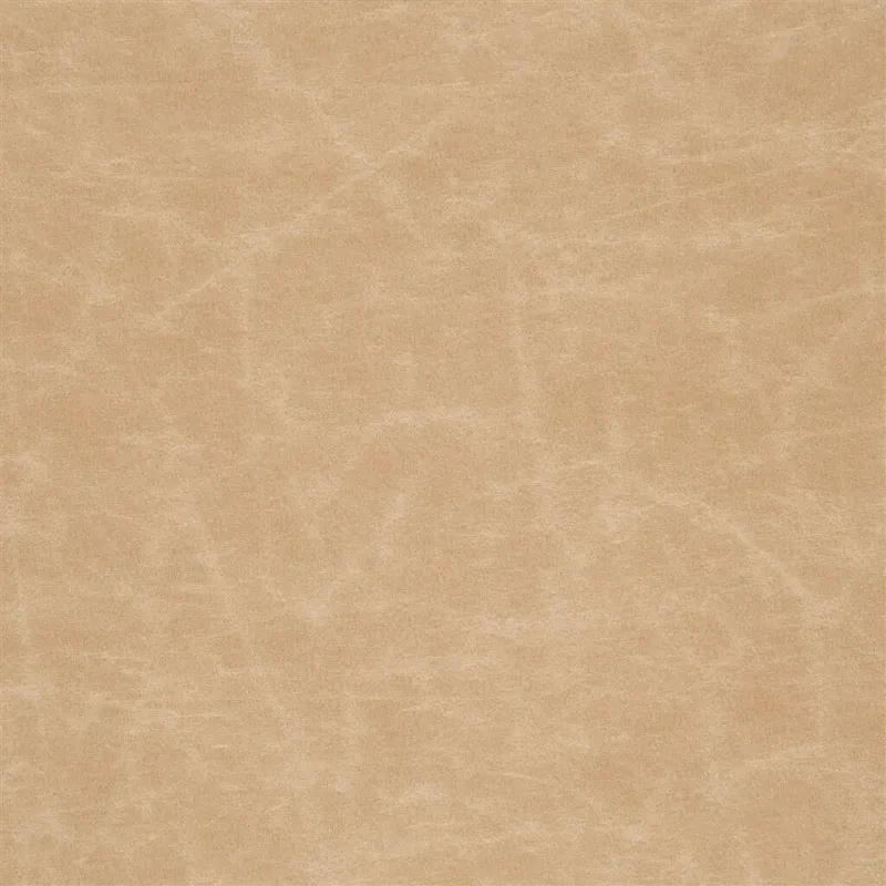 Tissus au mètre - Designers Guild Arizona - Caramel | Susty
