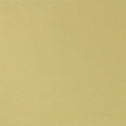 Designers Guild - Morona - Willow | Susty