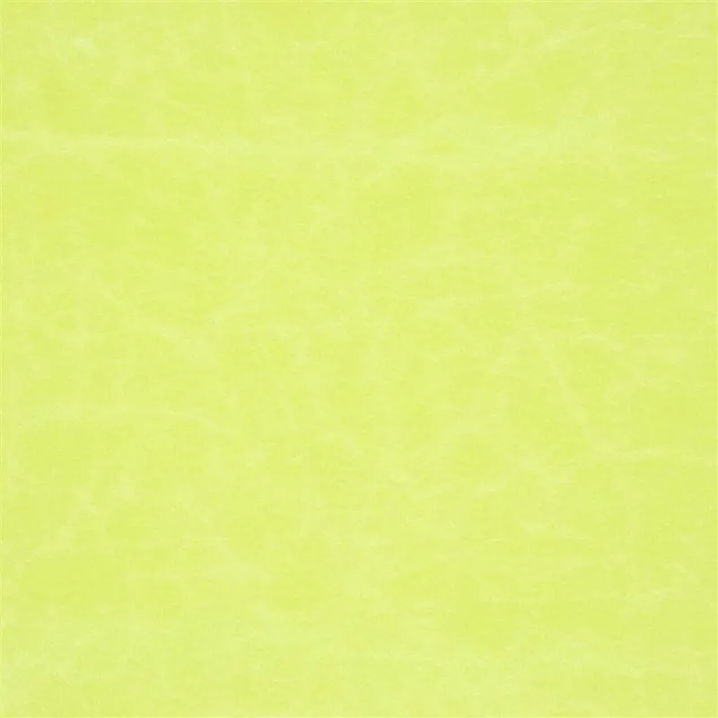 Tissus au mètre - Designers Guild Arizona - Lemongrass | Susty
