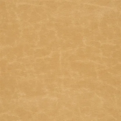 Tissus au mètre - Designers Guild Arizona - Sand | Susty