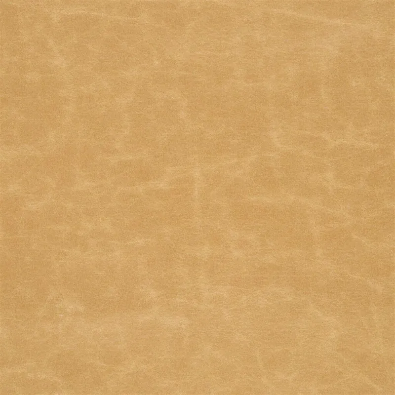 Tissus au mètre - Designers Guild Arizona - Sand | Susty
