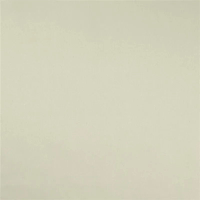 Designers Guild - Patia - Ecru | Susty