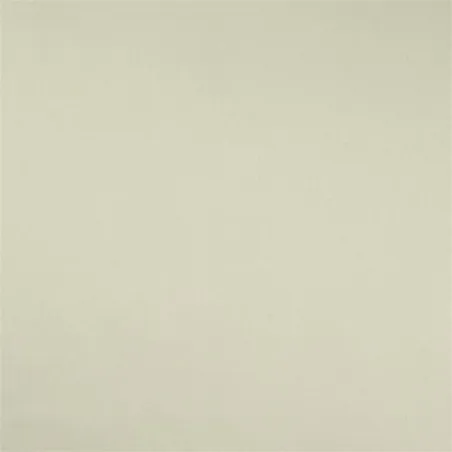 Designers Guild - Patia - Ecru | Susty