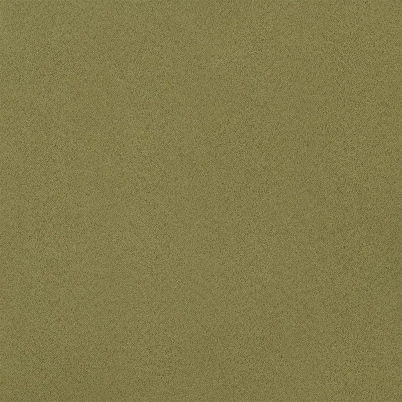 Designers Guild - Santiago - Fern | Susty