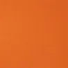 Designers Guild - Brancusi - Mandarin | Susty