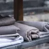 Designers Guild - Lesina - Mink | Susty