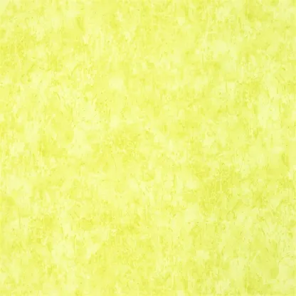 Tissus au mètre - Designers Guild Ellora - Lime | Susty