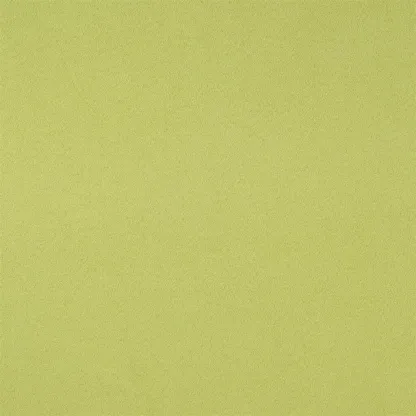 Designers Guild - Santiago - Pistachio | Susty