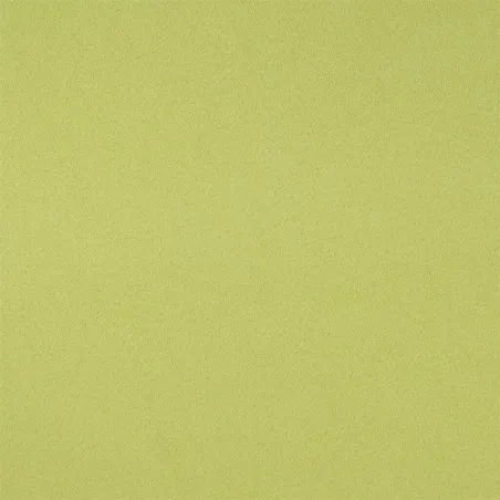 Designers Guild - Santiago - Pistachio | Susty