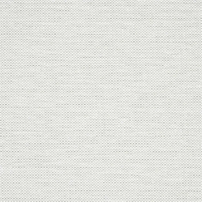 Designers Guild - Morvern - Platinum | Susty