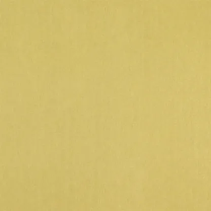 Designers Guild - Brenan - Topaz | Susty