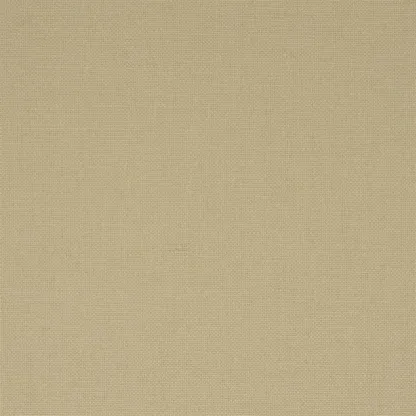 Designers Guild - Manzoni - Putty | Susty
