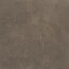 Designers Guild - Tundra - Pinecone | Susty