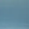 Designers Guild - Patia - Teal | Susty