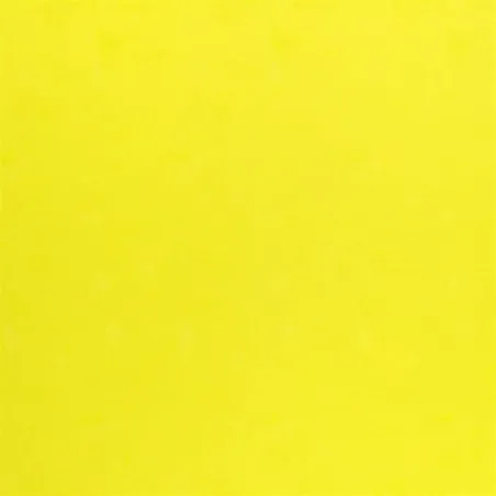 Tissus au mètre - Designers Guild Netsuke - Citrus | Susty