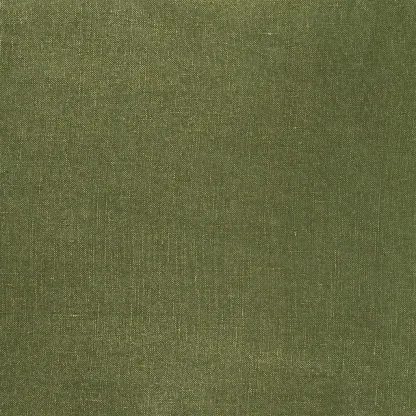 Designers Guild - Tsuga - Fern | Susty