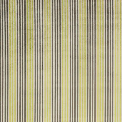 Designers Guild - Apulia - Lime | Susty