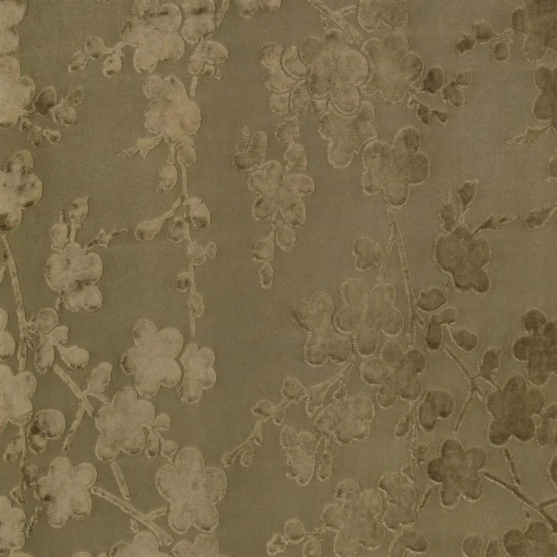Tissus au mètre - Designers Guild Kibushi - Cappuccino | Susty