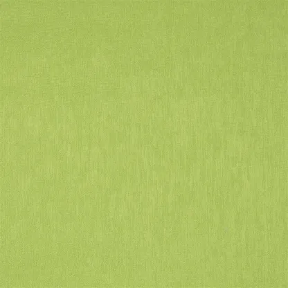 Tissus au mètre - Designers Guild Roseau - Absinthe | Susty
