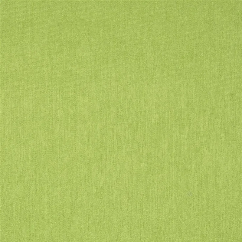 Tissus au mètre - Designers Guild Roseau - Absinthe | Susty