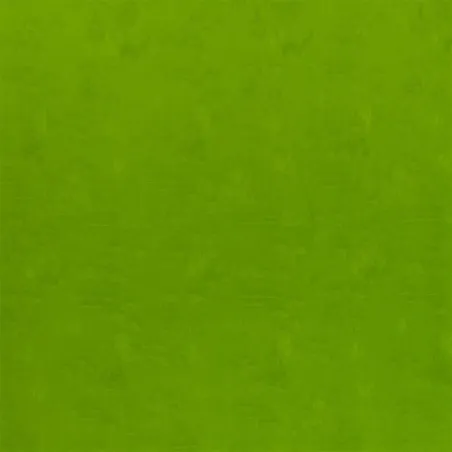 Tissus au mètre - Designers Guild Netsuke - Moss | Susty