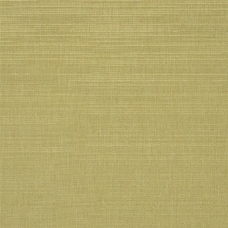 Tissus au mètre - Designers Guild Barra - Reed | Susty