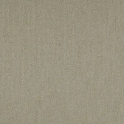 Tissus au mètre - Designers Guild Abuna - Driftwood | Susty