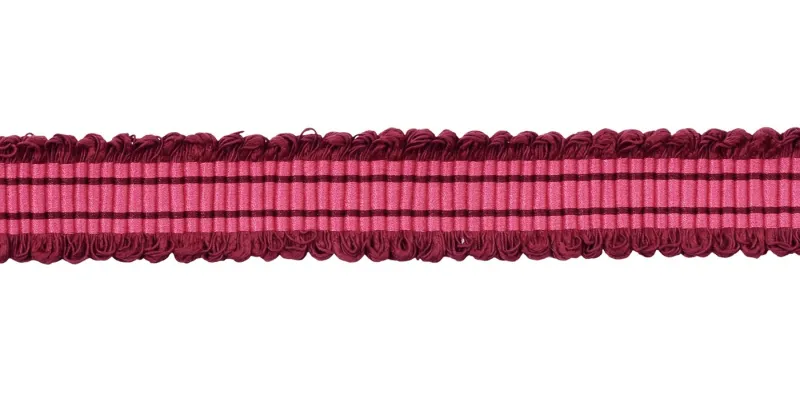 Passementerie - HOULÈS GALON TWIGGY | Susty