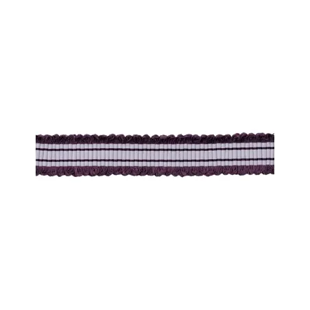 Passementerie - HOULÈS GALON TWIGGY | Susty