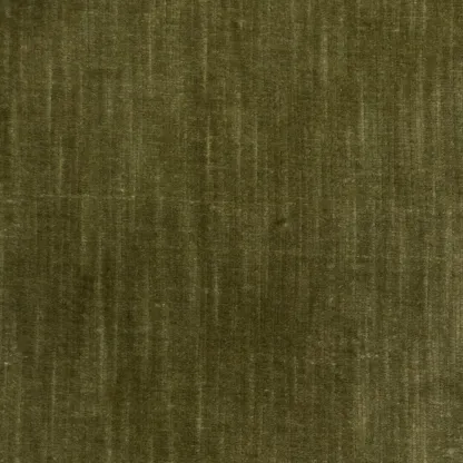 Tissus au mètre - Evolution21 Grove velvet mint green | Susty