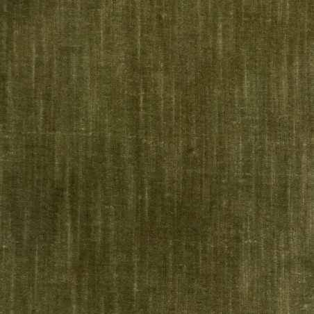 Tissus au mètre - Evolution21 Grove velvet mint green | Susty