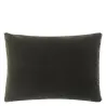 Coussin Shastri Natural Velvet - DESIGNERS GUILD | Susty