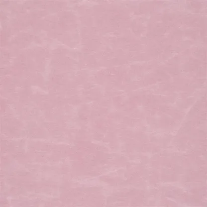 Tissus au mètre - Designers Guild Arizona - Peony | Susty