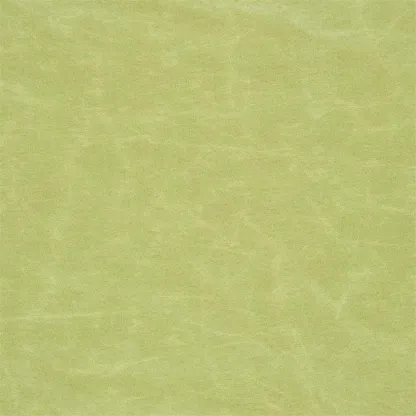 Tissus au mètre - Designers Guild Arizona - Moss | Susty