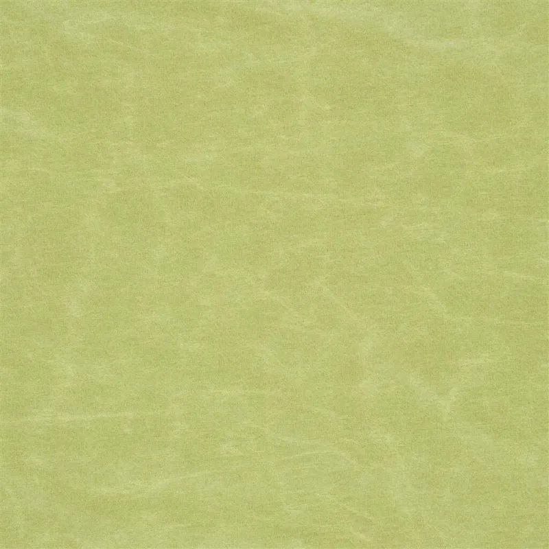 Tissus au mètre - Designers Guild Arizona - Moss | Susty