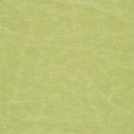 Tissus au mètre - Designers Guild Arizona - Moss | Susty