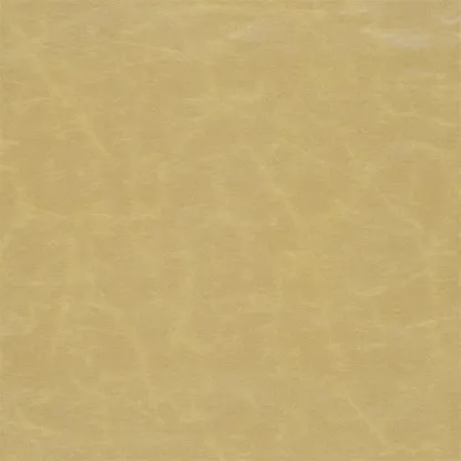 Tissus au mètre - Designers Guild Arizona - Gold | Susty