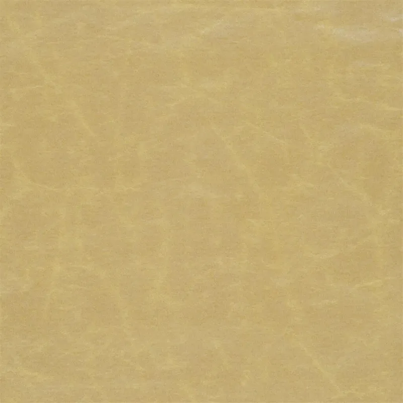 Tissus au mètre - Designers Guild Arizona - Gold | Susty