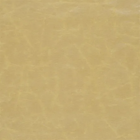 Tissus au mètre - Designers Guild Arizona - Gold | Susty