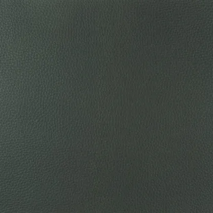 Tissus au mètre - Designers Guild Jurena - Noir | Susty