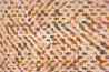 Serge Lesage – Proto Tagg Mangue 170x240 cm | Susty